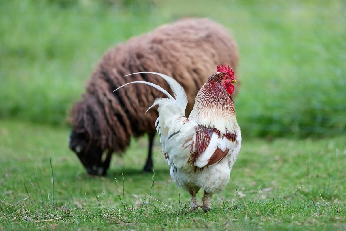 Enedis mon compte : guide complet fournisseurs énergie