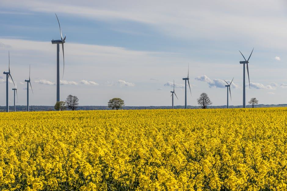 Guide eni mon compte payer ma facture : offres électricité et gaz